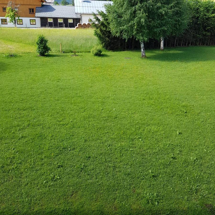 Apartment Dachsteinblick Bad Aussee Eksteriør billede